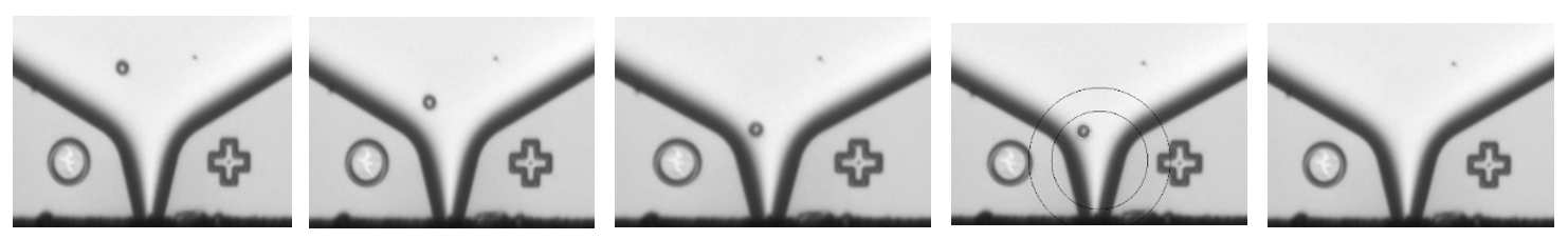 微信截圖_20240126154150 微信截圖_20240126154150