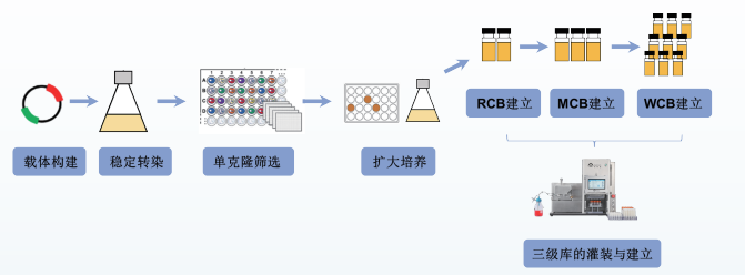 微信截圖_20240627101831 微信截圖_20240627101831