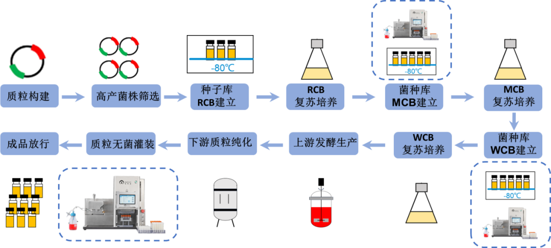 【收藏】細胞庫、菌株庫、質粒庫的自動化灌裝解決方案