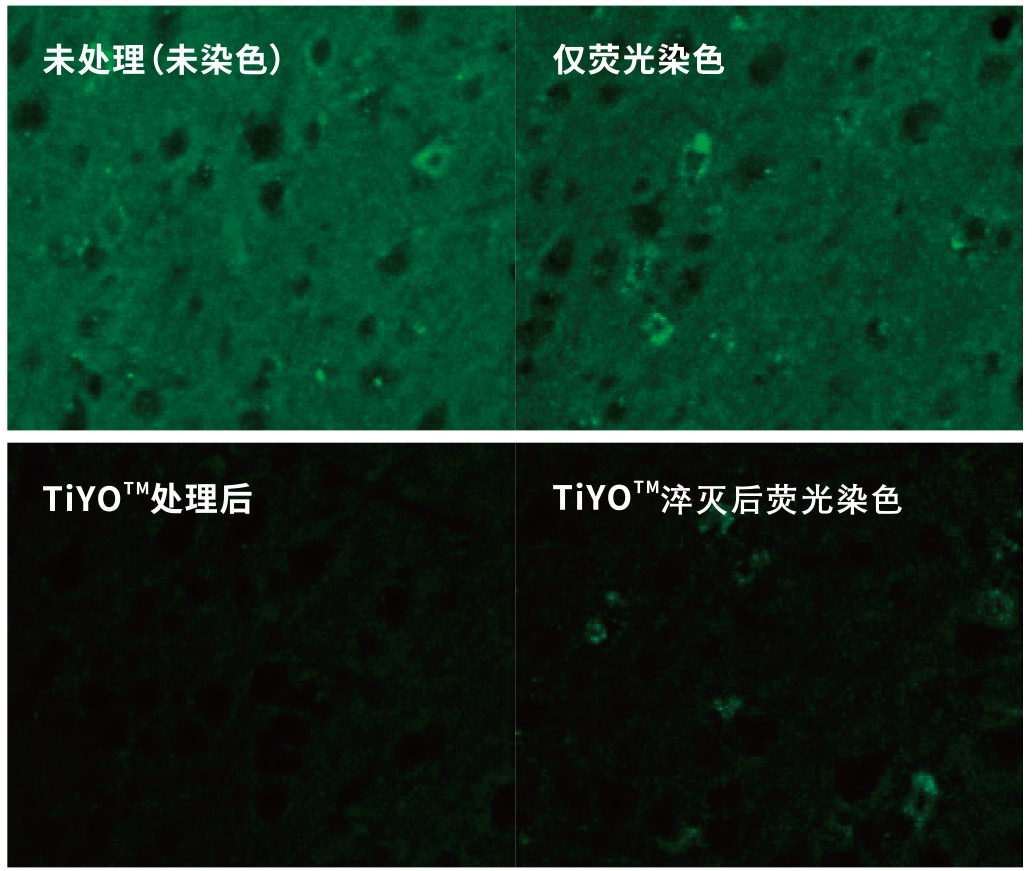 關(guān)于消除生物樣品自體熒光，您了解哪些？