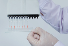 圖片.png 圖片.png