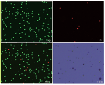 圖片.png 圖片.png