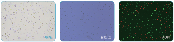 圖片.png 圖片.png