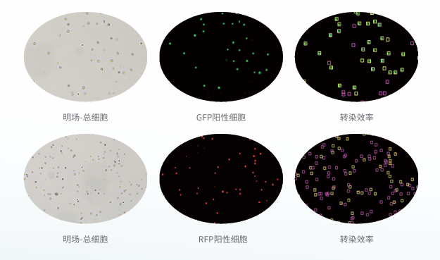 圖片.png 圖片.png