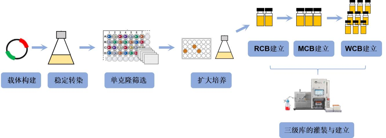 30分鐘自動化灌裝1000管！ AbioFill V100開放限時演示申請
