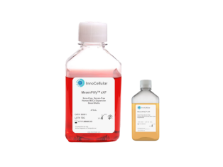 MesenPlify(TM) sXF間充質干細胞(MSC)擴增培養基