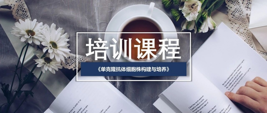 免費(fèi)培訓(xùn) | 單克隆抗體細(xì)胞株構(gòu)建與培養(yǎng)（免費(fèi)課程，報(bào)名從速）