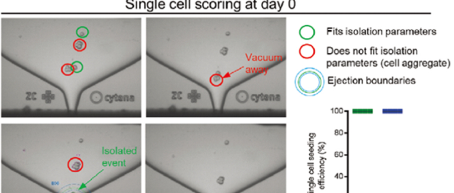 iPSC單克隆案例分享丨MG基質膠、CEPT提高iPSC單克隆效率